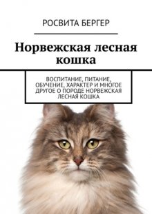 Норвежская лесная кошка. Воспитание, питание, обучение, характер и многое другое о породе норвежская лесная кошка