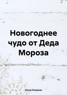 Новогоднее чудо от Деда Мороза