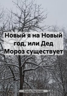 Новый я на Новый год, или Дед Мороз существует