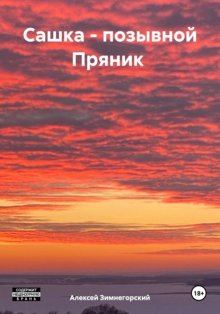 Сашка – позывной Пряник