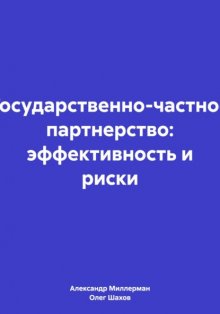 Государственно-частное партнерство: эффективность и риски