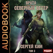 Врата. Книга 3. Северный ветер. Том 3