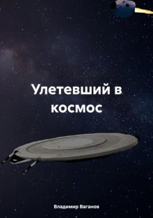 Улетевший в космос