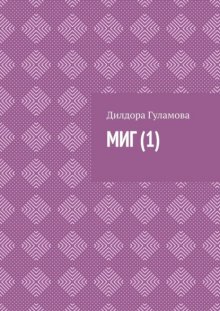 Миг (1)