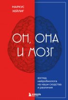 Он, она и мозг. Взгляд нейробиолога на наши сходства и различия