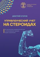 Управленческий учет на стероидах. Как организовать управленческий учет с использованием подходов Теории ограничений