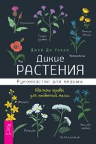 Дикие растения. Руководство для ведьмы. Обычные травы для необычной магии