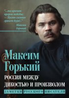 Россия между дикостью и произволом. Заметки русского писателя