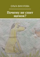 Почему не спит щенок?