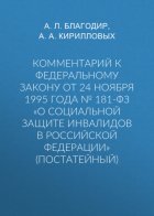 Комментарий к Федеральному закону от 24 ноября 1995 г. № 181-ФЗ «О социальной защите инвалидов в Российской Федерации» (постатейный; издание третье, переработанное и дополненное)