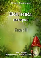 Шёл, нашёл, потерял. Книга III