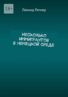 Несколько иммигрантов в немецкой среде