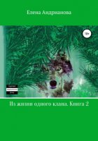 Из жизни одного клана. Книга 2