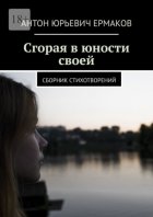 Сгорая в юности своей. Сборник стихотворений