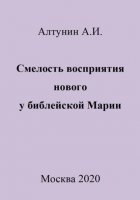 Смелость восприятия нового у библейской Марии