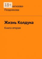 Жизнь колдуна. Книга вторая