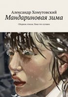 Мандариновая зима. Сборник стихов. Пока что лучших