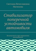 Стабилизатор поперечной устойчивости автомобиля. Безопасность при управлении автомобилем