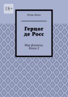 Герцог де Росс. Мир фэнтези. Книга 2