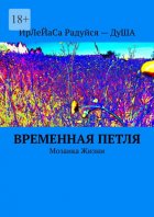 Временная петля. Мозаика жизни