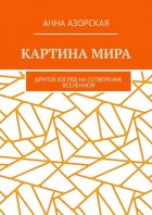 Картина мира. Другой взгляд на сотворение Вселенной