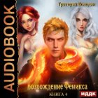 Возрождение Феникса. Книга 4