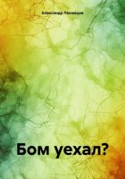 Бом уехал?