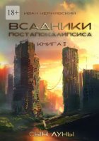 Всадники постапокалипсиса. Сын Луны. Книга 2