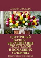 Цветочный бизнес: выращивание тюльпанов в домашних условиях. Практическое руководство