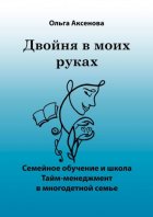 Двойня в моих руках. Семейное обучение и школа «Тайм-менеджмент в многодетной семье»