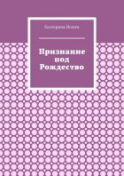 Признание под Рождество