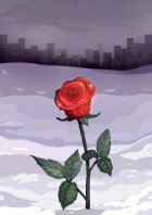 Winter rose