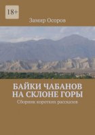 Байки чабанов на склоне горы. Сборник коротких рассказов