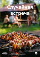 Случайная встреча