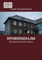 Провинциалы. Истории большой страны