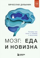 Мозг: еда и новизна. Почему нас тянет к новому и вкусному