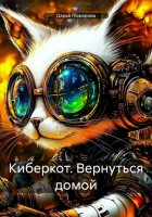 Киберкот. Вернуться домой