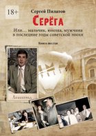 Серёга. Или… мальчик, юноша, мужчина в последние годы советской эпохи. Книга шестая