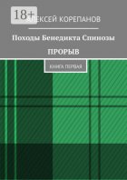 Походы Бенедикта Спинозы. Прорыв. Книга первая