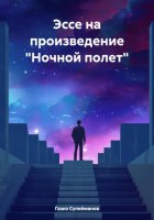 Эссе на произведение «Ночной полет»