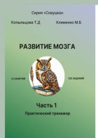 Развитие мозга. Часть 1. Практический тренажёр