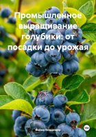 Промышленное выращивание голубики: от посадки до урожая