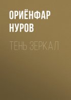 ТЕНЬ ЗЕРКАЛ