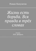 Жизнь есть борьба. Вся правда в трёх словах. Стихи 2025, февраль