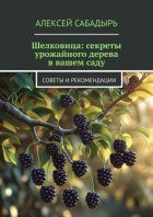 Шелковица: секреты урожайного дерева в вашем саду. Советы и рекомендации