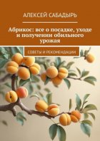 Абрикос: все о посадке, уходе и получении обильного урожая. Советы и рекомендации