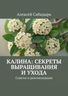 Калина: секреты выращивания и ухода. Советы и рекомендации