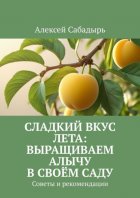 Сладкий вкус лета: выращиваем алычу в своём саду. Советы и рекомендации