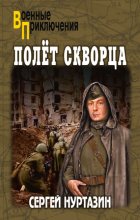 Полет скворца