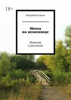 Мечта на велосипеде. Повесть и рассказы